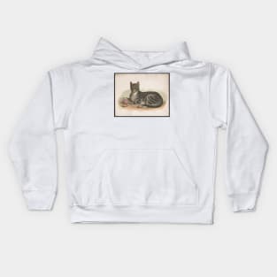 Cattus Domesticus. Vintage print edited for maximum sass. Kids Hoodie